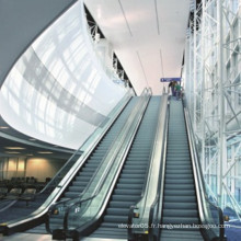 800mm Échelle Largeur Maison résidentielle Escalator d&#39;intérieur